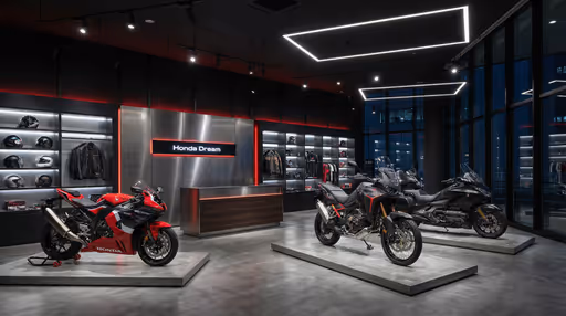 OLHANDO PARA O FUTURO