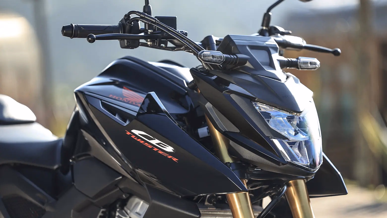 Honda CB300F Twister 2027 - Galeria 9 - 9 de 20